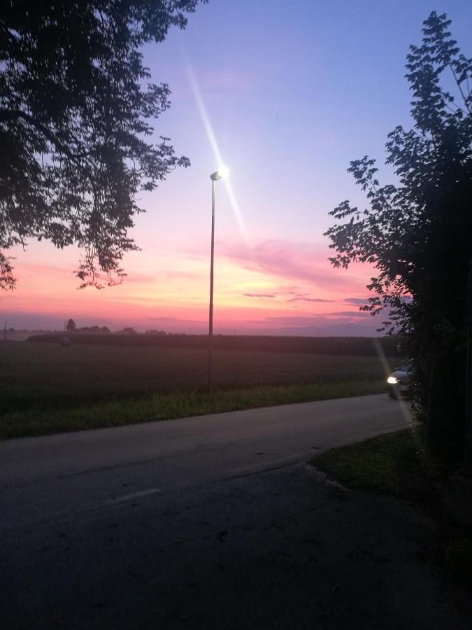 伯格德拉特里酒店 Morsano al Tagliamento 外观 照片